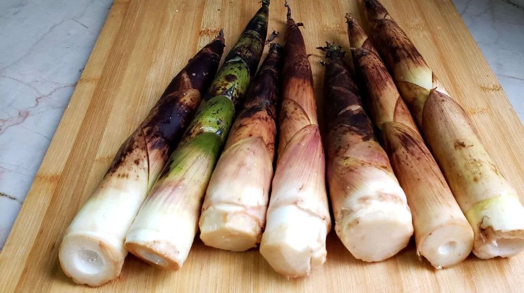 紫贝菜什么人不能吃_紫贝菜哪些人不能吃_紫贝菜能不能常吃