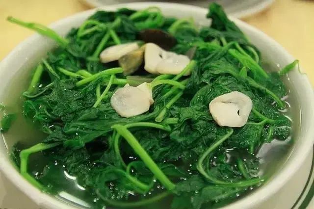 紫贝菜什么人不能吃_紫贝菜能不能常吃_紫贝菜哪些人不能吃