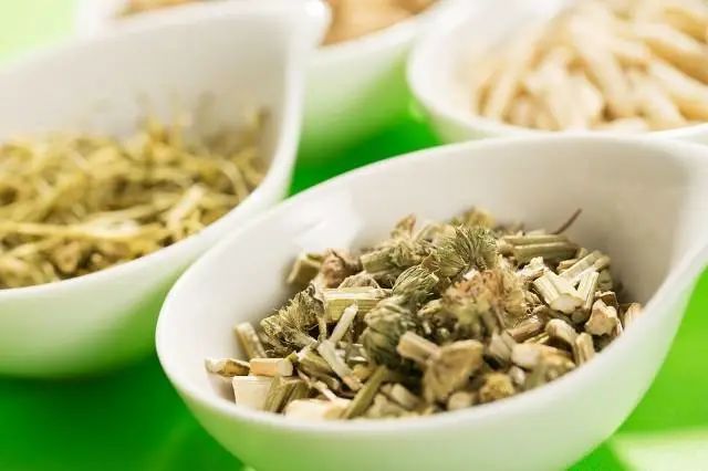 紫贝菜什么人不能吃_紫贝菜能不能常吃_紫贝菜哪些人不能吃