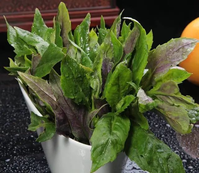 紫贝菜什么人不能吃_紫贝菜哪些人不能吃_紫贝菜能不能常吃