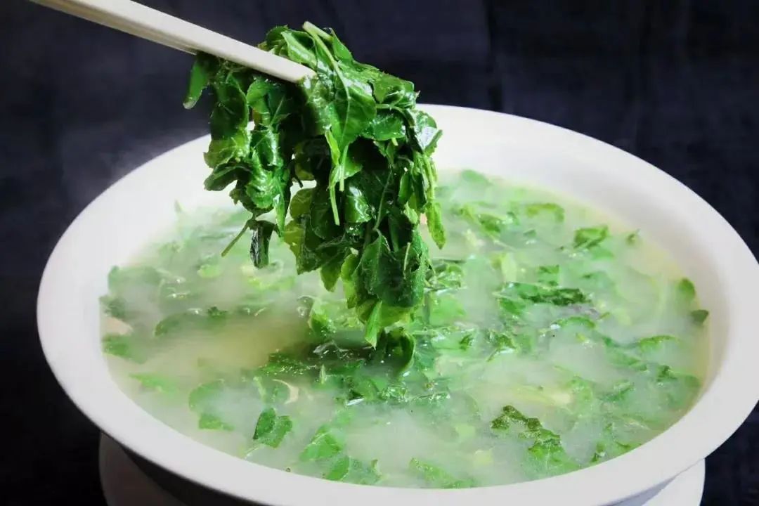 紫贝菜哪些人不能吃_紫贝菜什么人不能吃_紫贝菜能不能常吃