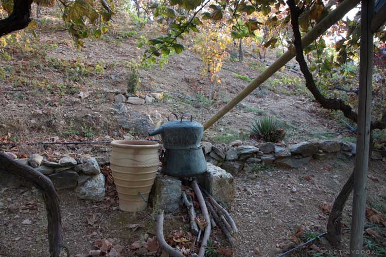 希腊克里特岛旅行建议指南攻略,尽情享受爱琴海吧(图19) 希腊爱琴海旅游报价_希腊爱琴海旅游攻略_希腊爱琴海在哪儿