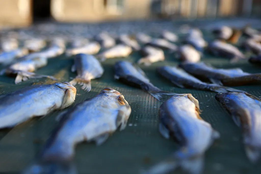 开零食网店赚钱吗_开网店卖零食货源_怎样开网店卖零食