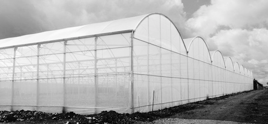 中国UFO未解谜案:神秘光球突降林场,400亩松林被拦腰斩断 - 哔哩哔哩(图2) 贵阳都溪林场空中怪车事件_贵阳灵异事件空中怪车_贵阳空中怪车遗址展览