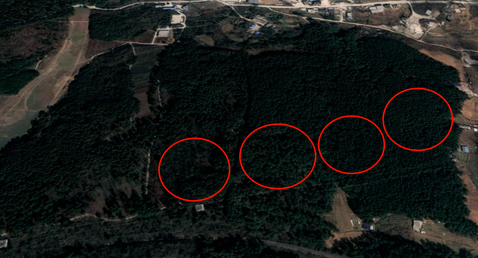 中国UFO未解谜案:神秘光球突降林场,400亩松林被拦腰斩断 - 哔哩哔哩(图5) 贵阳都溪林场空中怪车事件_贵阳灵异事件空中怪车_贵阳空中怪车遗址展览