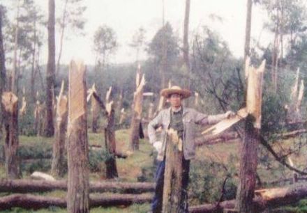 贵阳空中怪车事件视频_贵阳都溪林场空中怪车事件_贵阳空中怪车遗址展览