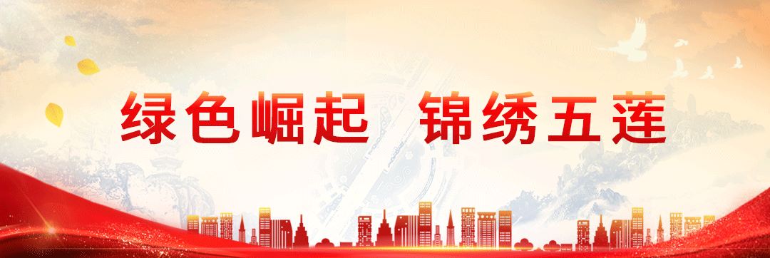 五莲教育网站_山东省五莲县教育局_五莲县教育信息网