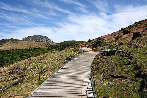 毛里求斯签证怎么办_毛里求斯旅游攻略是落地签吗_毛里求斯免签多少天