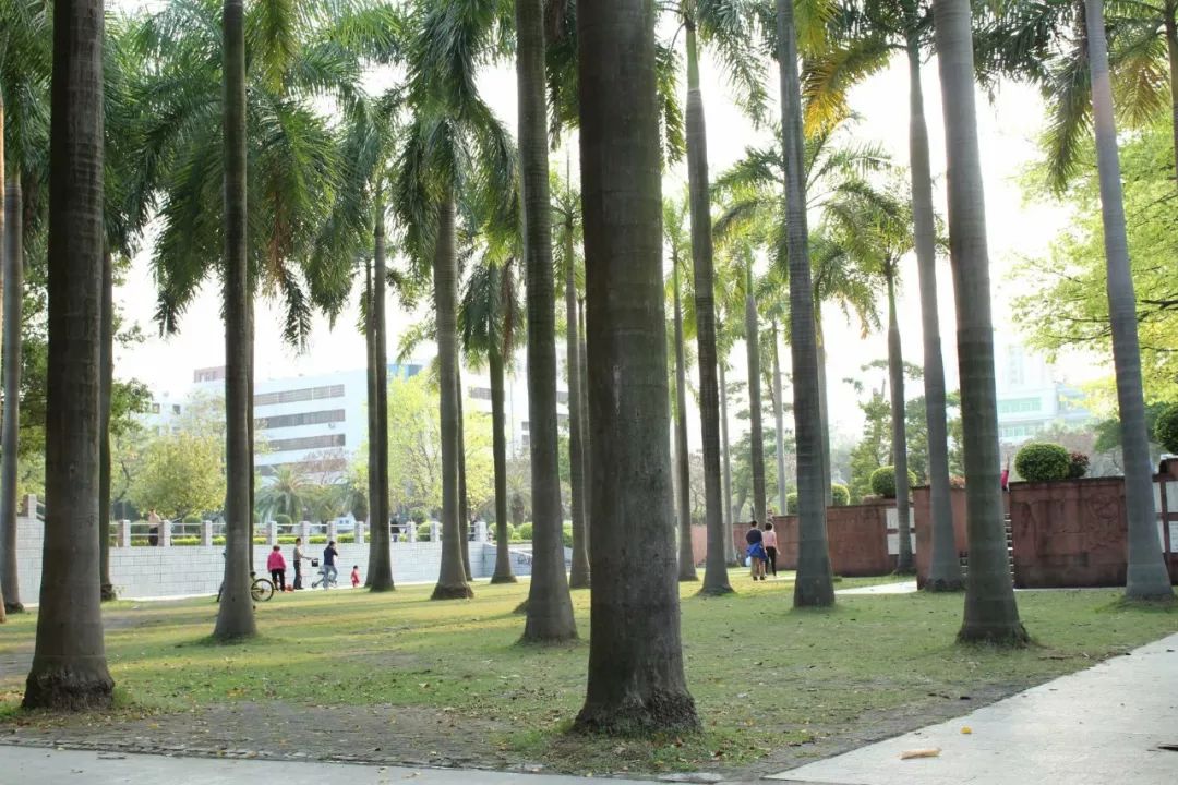 招生简章|华南师范大学开放学院应用型人才培养计划(图5) 华南师范大学继续教育合作机构_华南师范大学南海学院招生网_华南师范大学南海校区继续教育学院