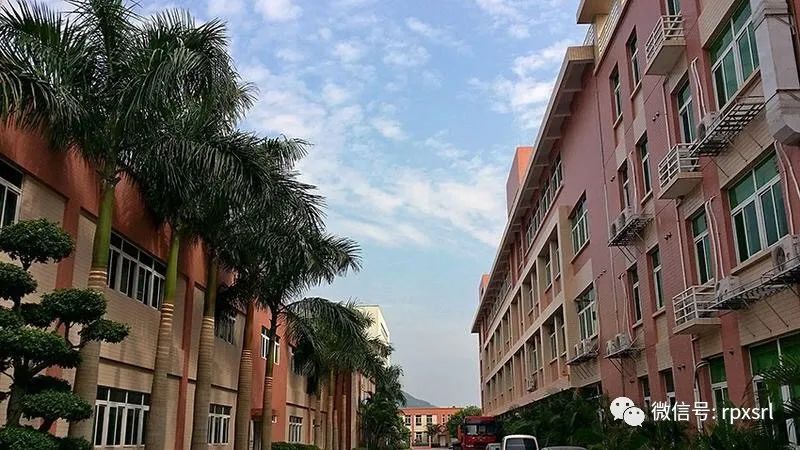 广东东方科技股份有限公司_广东东方锆业科技股份有限公司_广州东方科技