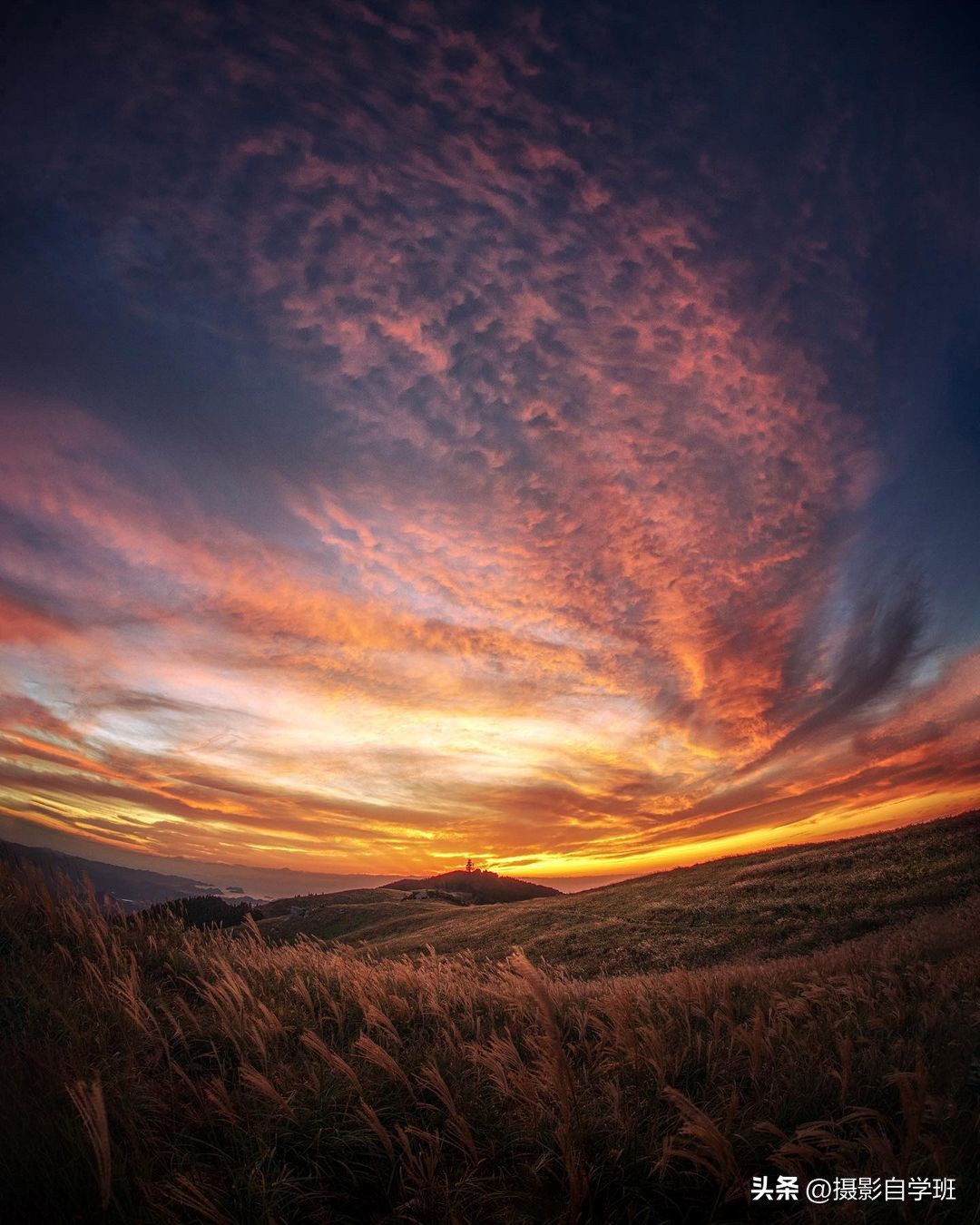 7个拍照技巧,树叶、风光、雪景,全都帮你拍美,快来学(图7) 风光摄影教程视频_风光摄影1分钟技巧_实用摄影技巧风光摄影