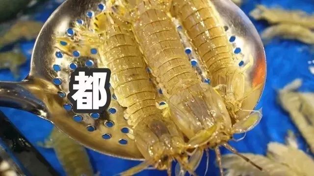 青岛 海鲜大排档_青岛好吃的海鲜大排档在哪_青岛吃海鲜的大排档