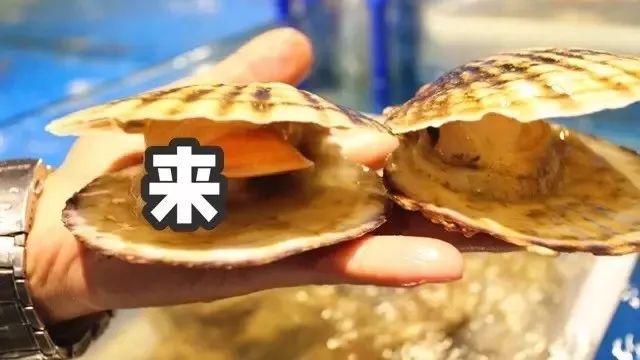 青岛 海鲜大排档_青岛好吃的海鲜大排档在哪_青岛吃海鲜的大排档