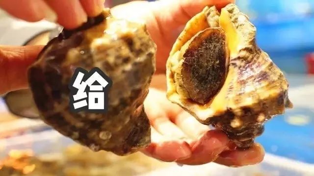 青岛好吃的海鲜大排档在哪_青岛 海鲜大排档_青岛吃海鲜的大排档