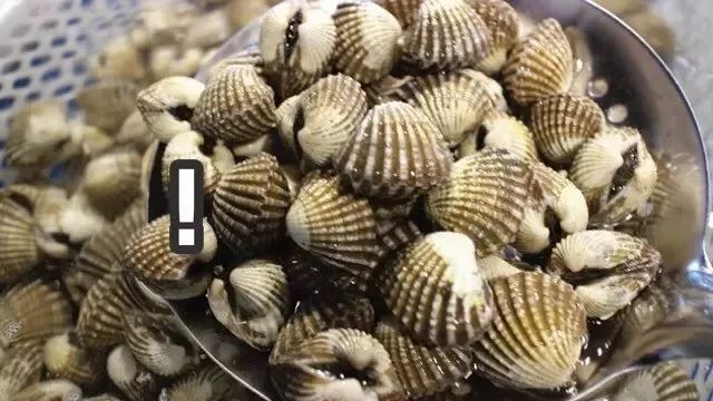 青岛 海鲜大排档_青岛好吃的海鲜大排档在哪_青岛吃海鲜的大排档