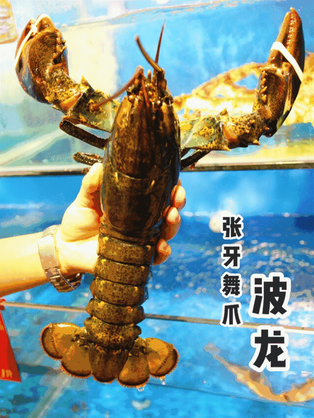 青岛吃海鲜的大排档_青岛好吃的海鲜大排档在哪_青岛 海鲜大排档