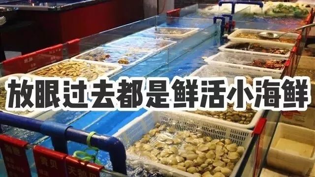 青岛 海鲜大排档_青岛好吃的海鲜大排档在哪_青岛吃海鲜的大排档