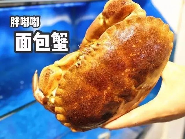 青岛吃海鲜的大排档_青岛 海鲜大排档_青岛好吃的海鲜大排档在哪