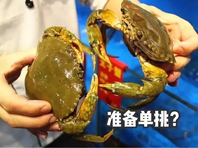 青岛吃海鲜的大排档_青岛好吃的海鲜大排档在哪_青岛 海鲜大排档