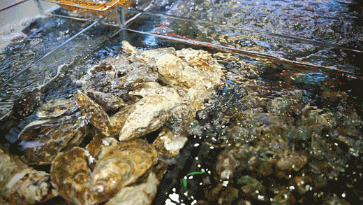 青岛好吃的海鲜大排档在哪_青岛 海鲜大排档_青岛吃海鲜的大排档