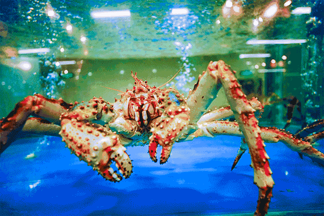 青岛好吃的海鲜大排档在哪_青岛吃海鲜的大排档_青岛 海鲜大排档