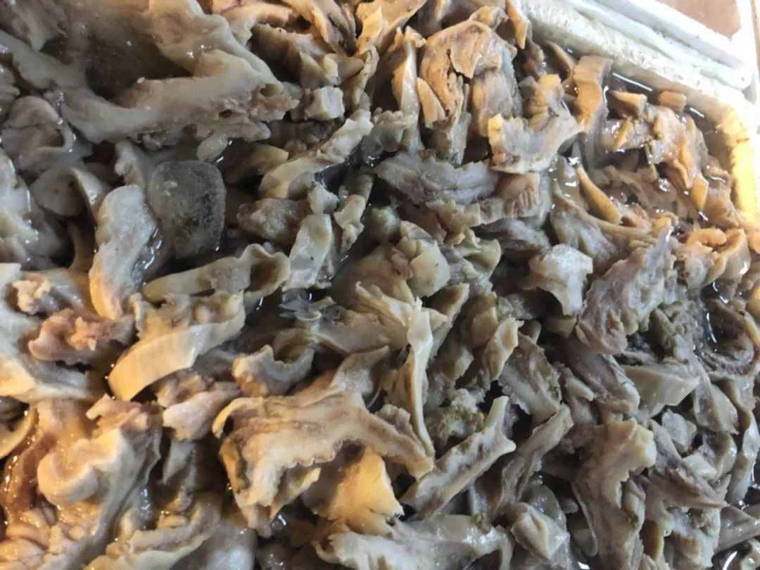 青岛 海鲜大排档_青岛好吃的海鲜大排档在哪_青岛吃海鲜的大排档