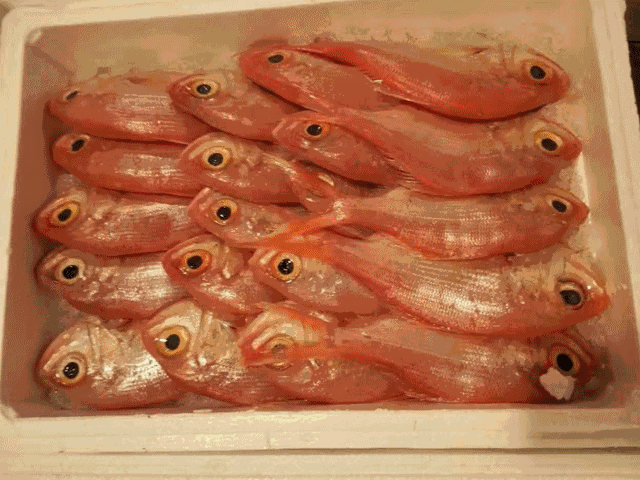 青岛好吃的海鲜大排档在哪_青岛吃海鲜的大排档_青岛 海鲜大排档