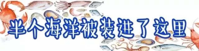 青岛吃海鲜的大排档_青岛好吃的海鲜大排档在哪_青岛 海鲜大排档