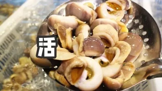 青岛吃海鲜的大排档_青岛好吃的海鲜大排档在哪_青岛 海鲜大排档