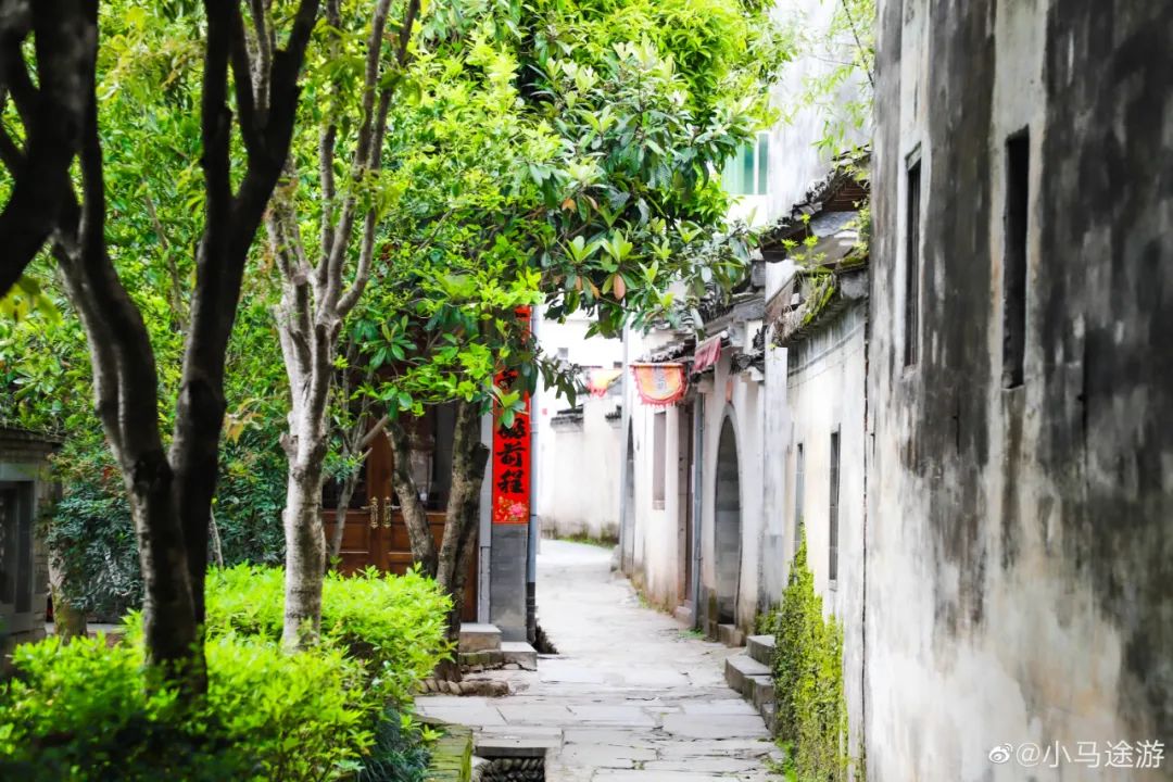 春节婺源旅游攻略_春节婺源哪里好玩_江西婺源春节旅游攻略