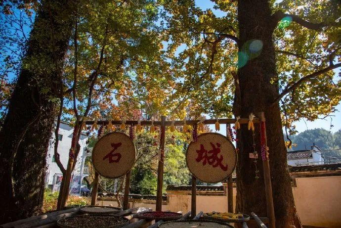 春节婺源哪里好玩_江西婺源春节旅游攻略_春节婺源旅游攻略