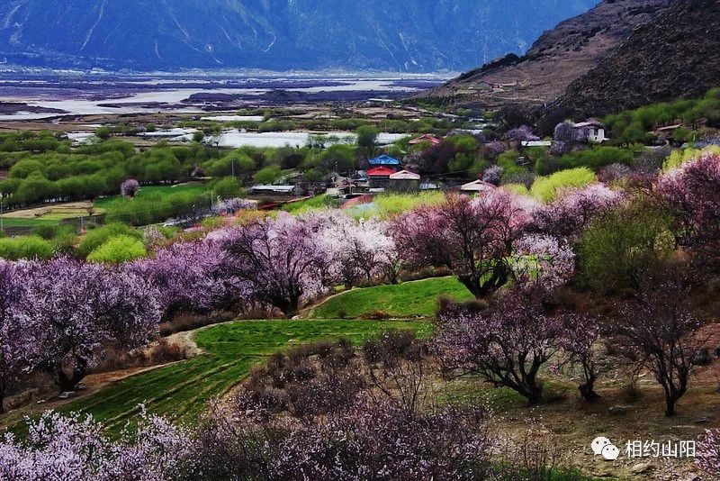 火车经典问题_经典火车3_火车经典语录