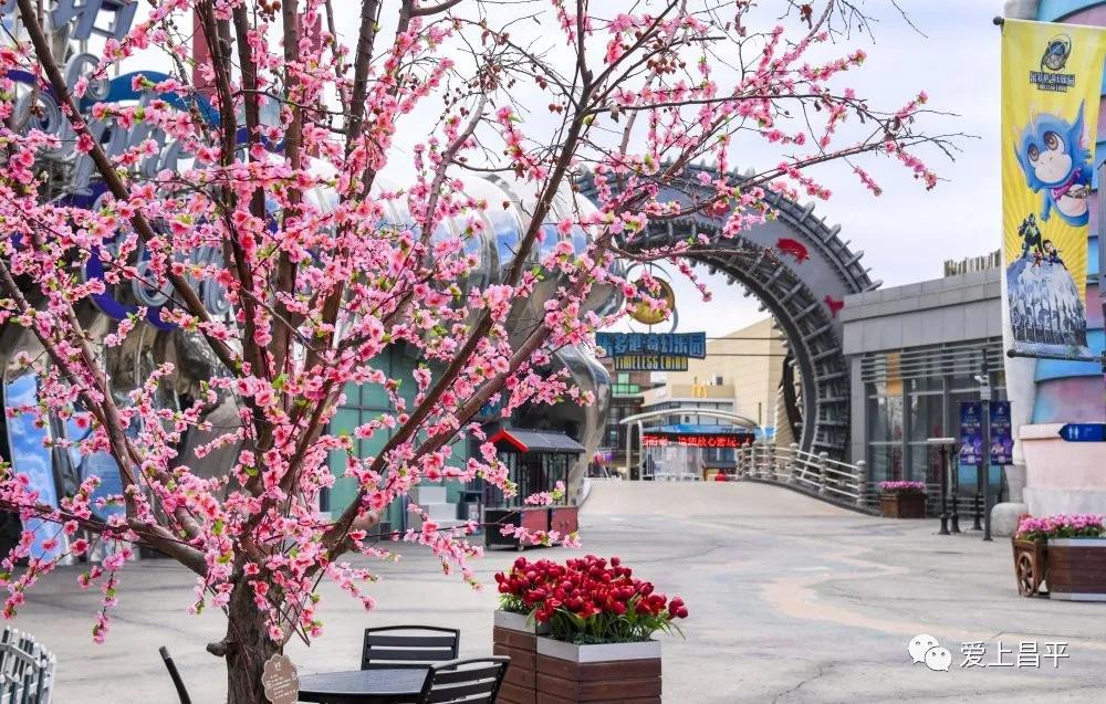 昌平公园景点_昌平公园有什么游玩_昌平的公园