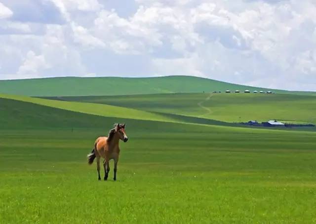 一趟北京开往莫斯科的列车 沿途风光惊艳了整个世界(图11) 莫斯科到柏林的火车_柏林到莫斯科火车多长时间_从莫斯科到柏林