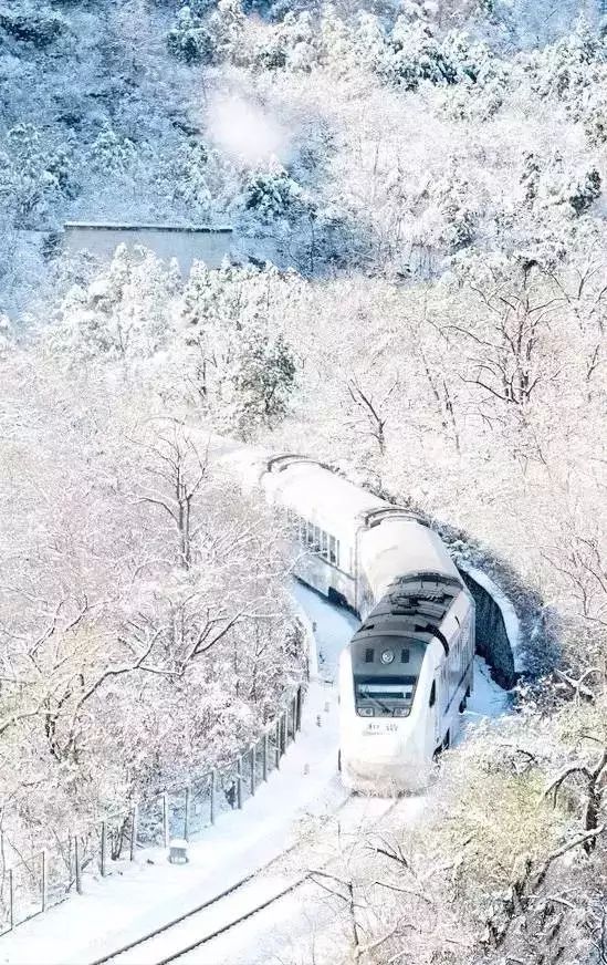 一趟北京开往莫斯科的列车 沿途风光惊艳了整个世界(图3) 从莫斯科到柏林_莫斯科到柏林的火车_柏林到莫斯科火车多长时间