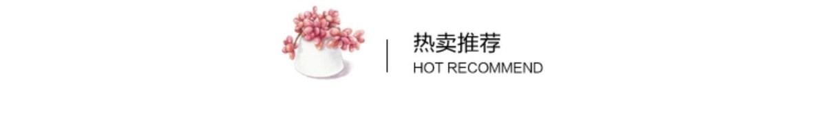 非标门入户门防盗门加高学校门安全子母门门户门进户门大门户入门(图4)