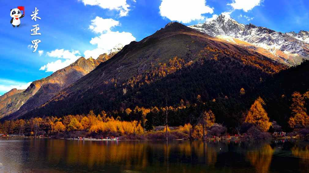 多彩金秋 | 四川十条最美彩林精品旅游线路出炉!(图8) 米亚罗毕棚沟旅游攻略_米亚罗毕棚沟2日游攻略_米亚罗毕棚沟旅游