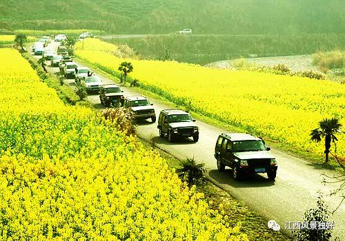 江西婺原生态旅游？_婺源生态保护_江西婺源旅游股份有限公司