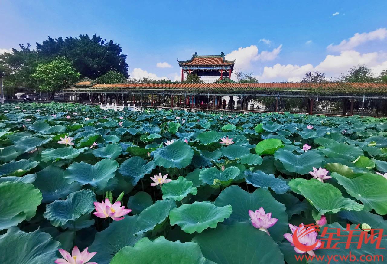 番禺长隆欢乐世界地图高清_广东番禺长隆欢乐世界_番禺长隆欢乐世界景区地图