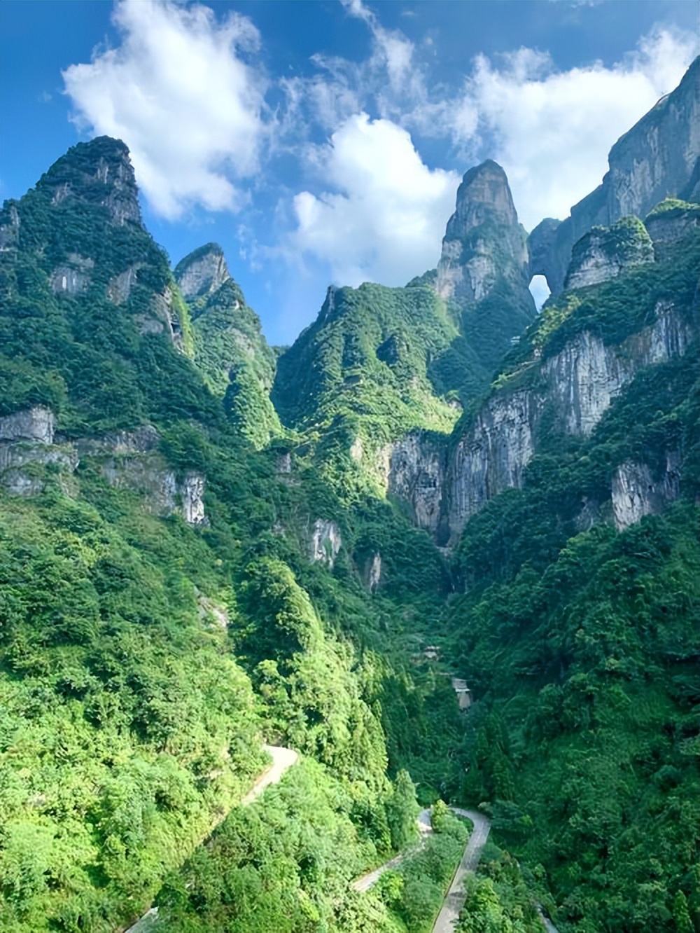 游览张家界森林公园_张家界国家森林公园游玩攻略_张家界森林公园景区攻略