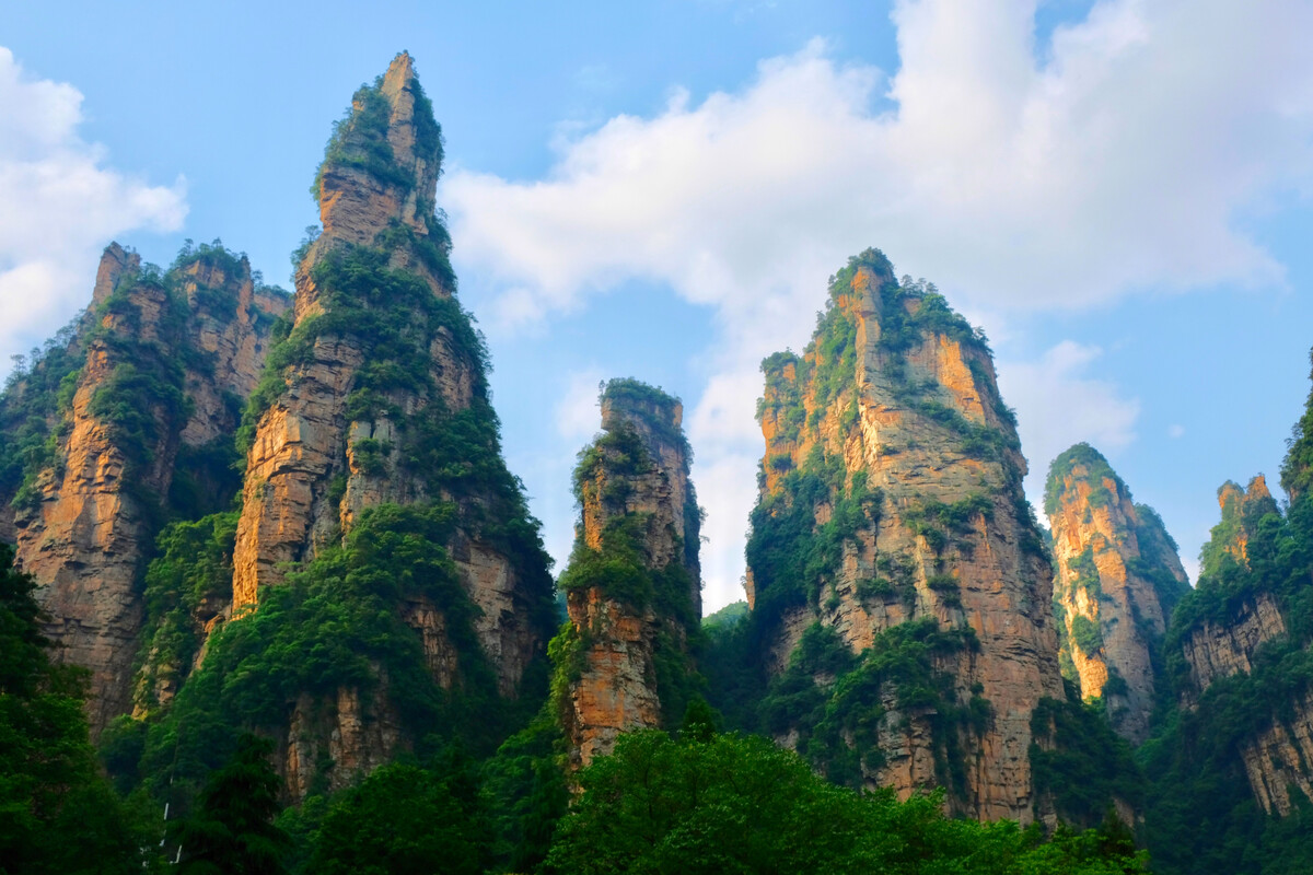 张家界国家森林公园游玩攻略_游览张家界森林公园_张家界森林公园景区攻略