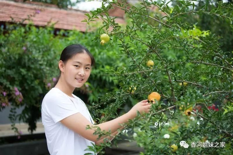 扮靓美丽家居：门窗装饰_家居装修门窗_家居装饰美丽门窗扮靓图片