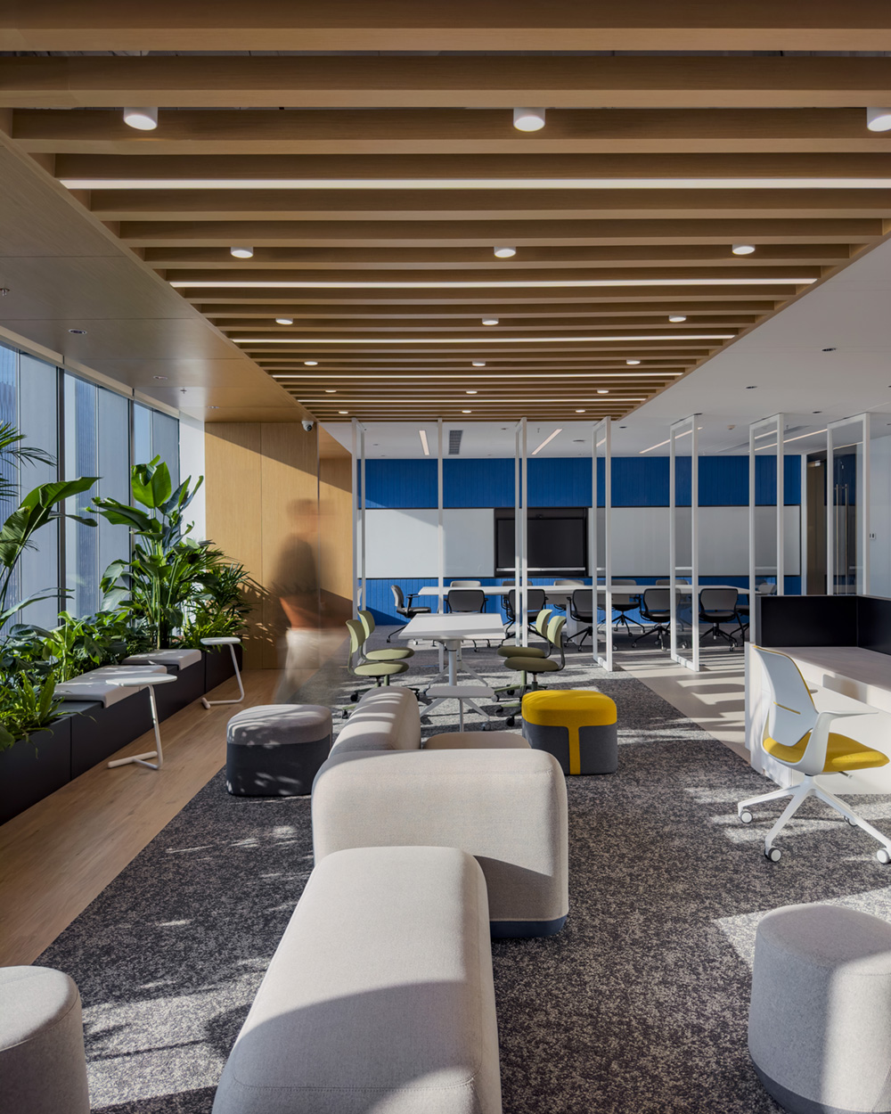 装饰办公室设计_办公装修装饰设计_艺术办公室装修设计