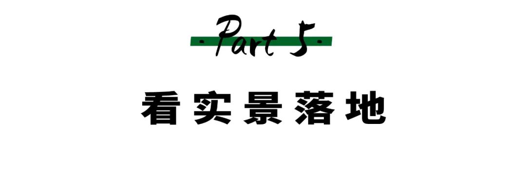 哈尔滨大树装饰贵吗_哈尔滨大树装饰公司简介_哈尔滨大树装饰怎么样