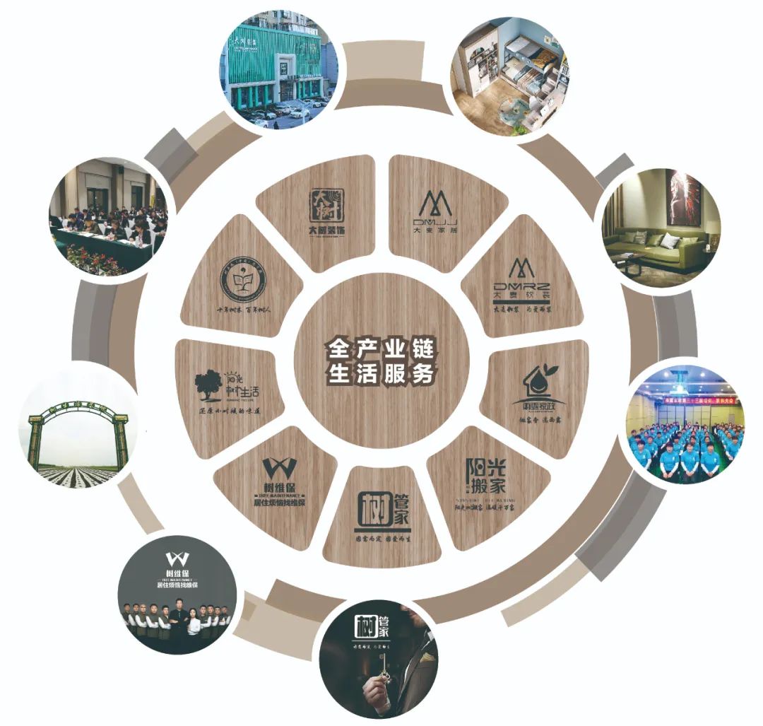 哈尔滨大树装饰公司简介_哈尔滨大树装饰怎么样_哈尔滨大树装饰贵吗