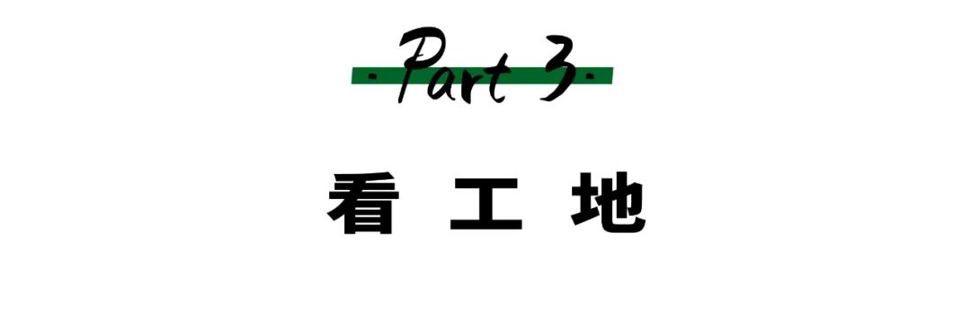 哈尔滨大树装饰贵吗_哈尔滨大树装饰怎么样_哈尔滨大树装饰公司简介