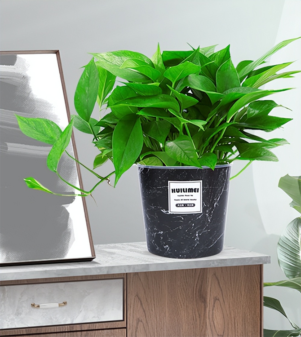 新房装修好可以一直开窗通风吗_新房装修好的_新房装修好用什么除甲醛最好