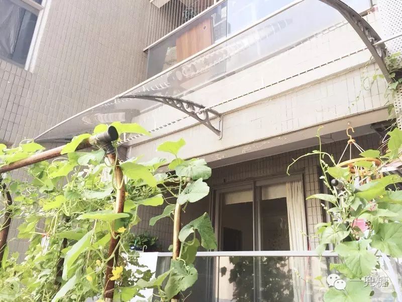 万万没想到,没有阳台竟然还可以这样花样百出地晾衣服(图4) 阳台晒太阳_阳台上可以放浴缸吗_在阳台上能晒日光浴吗