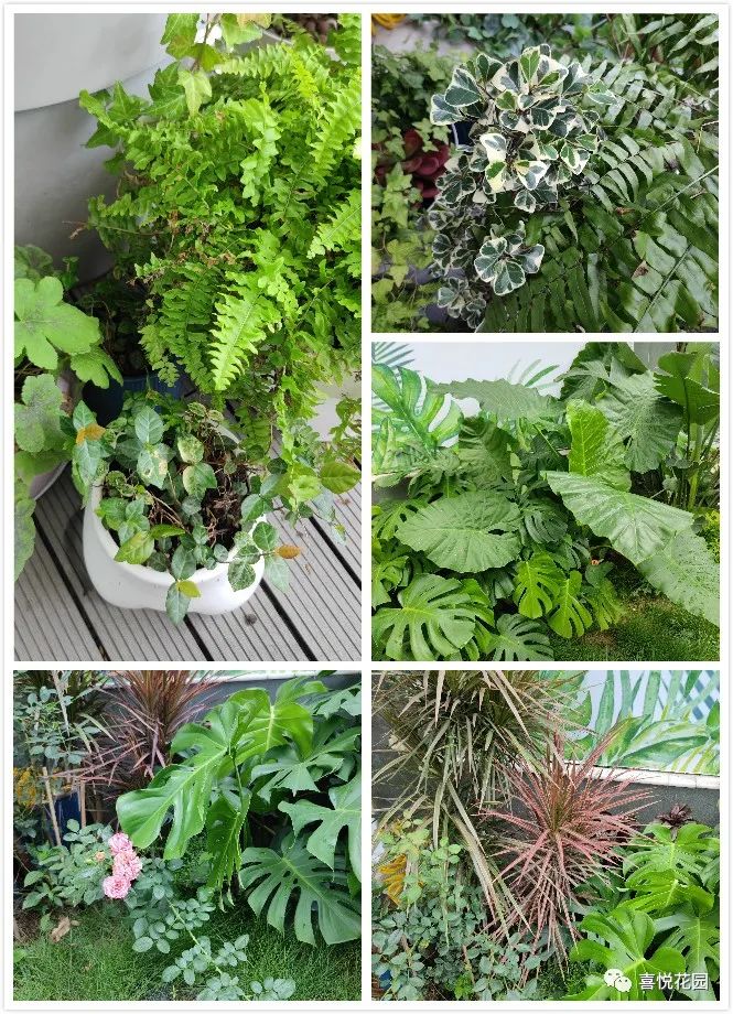 阳台沐浴阳光_阳光浴一般晒多久_在阳台上能晒日光浴吗