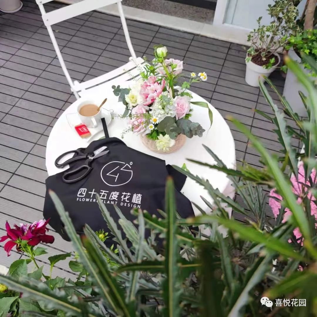 阳台沐浴阳光_在阳台上能晒日光浴吗_阳光浴一般晒多久